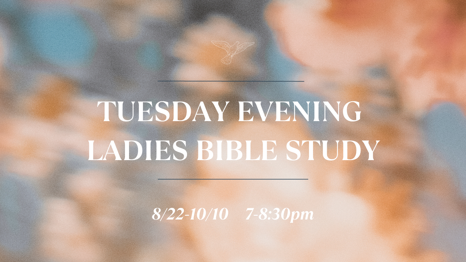 Tuesday evening ladies study image
