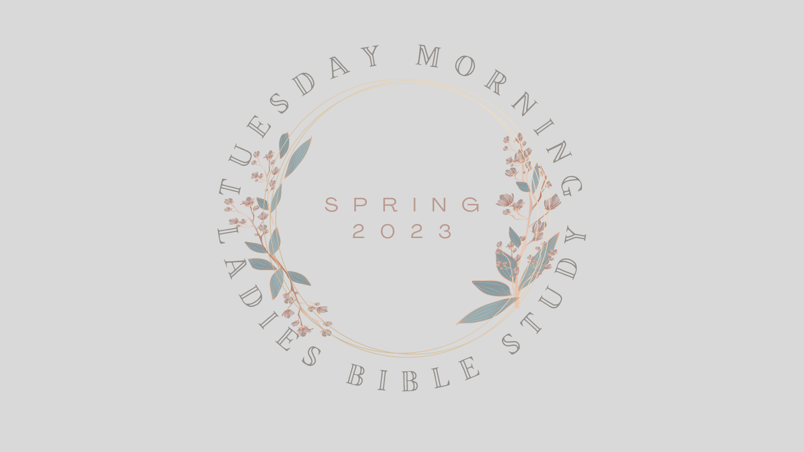 Tuesday Morning Ladies Bible Study graphic spring 23 (1600 × 900 px) image