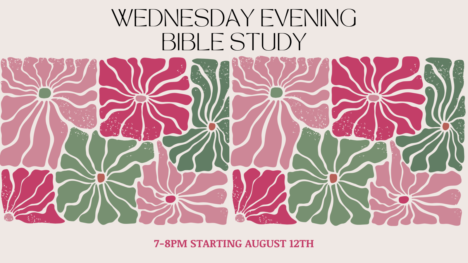 wednesday ladies bible study