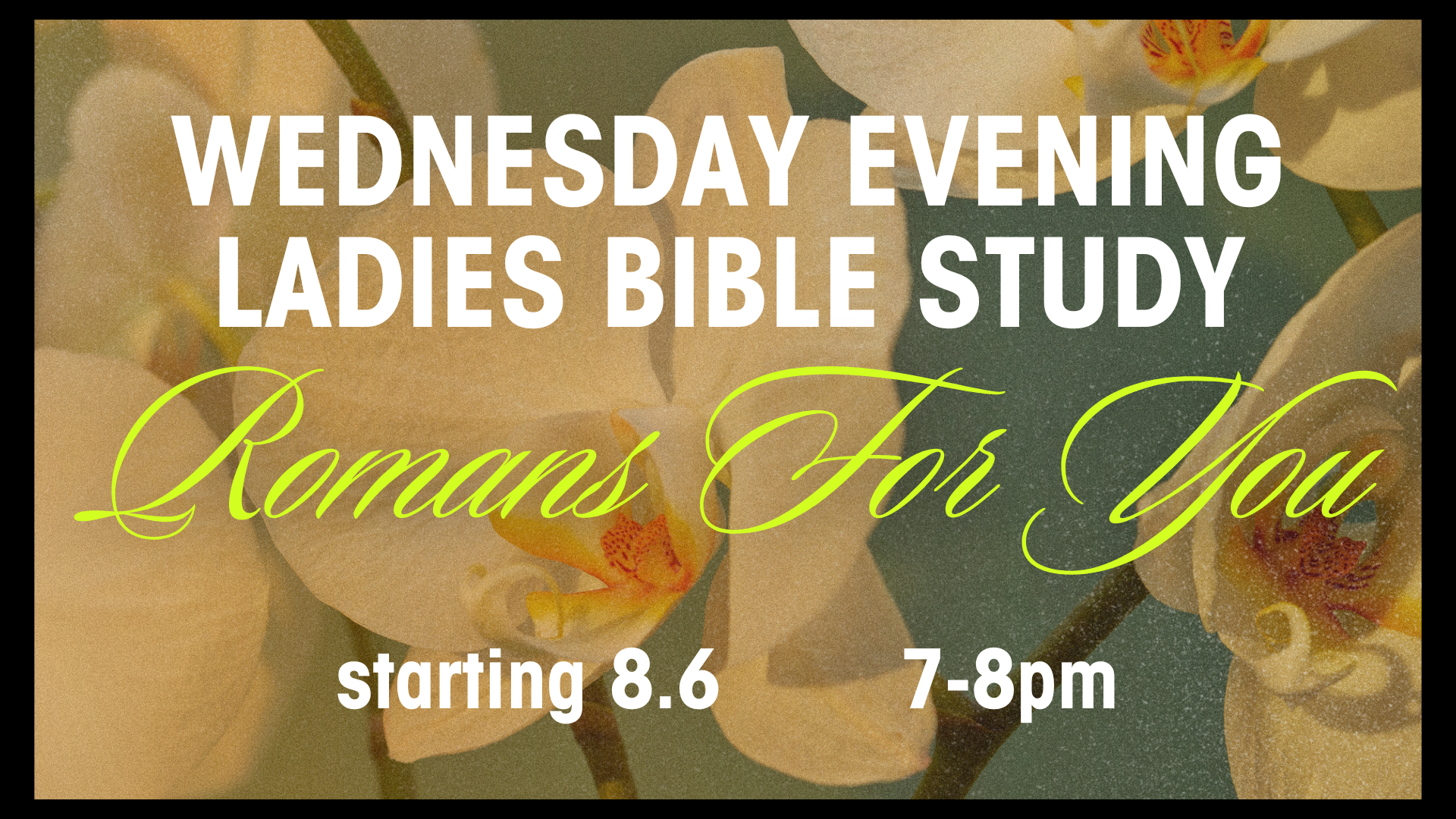 wednesday ladies bible study 2526 image