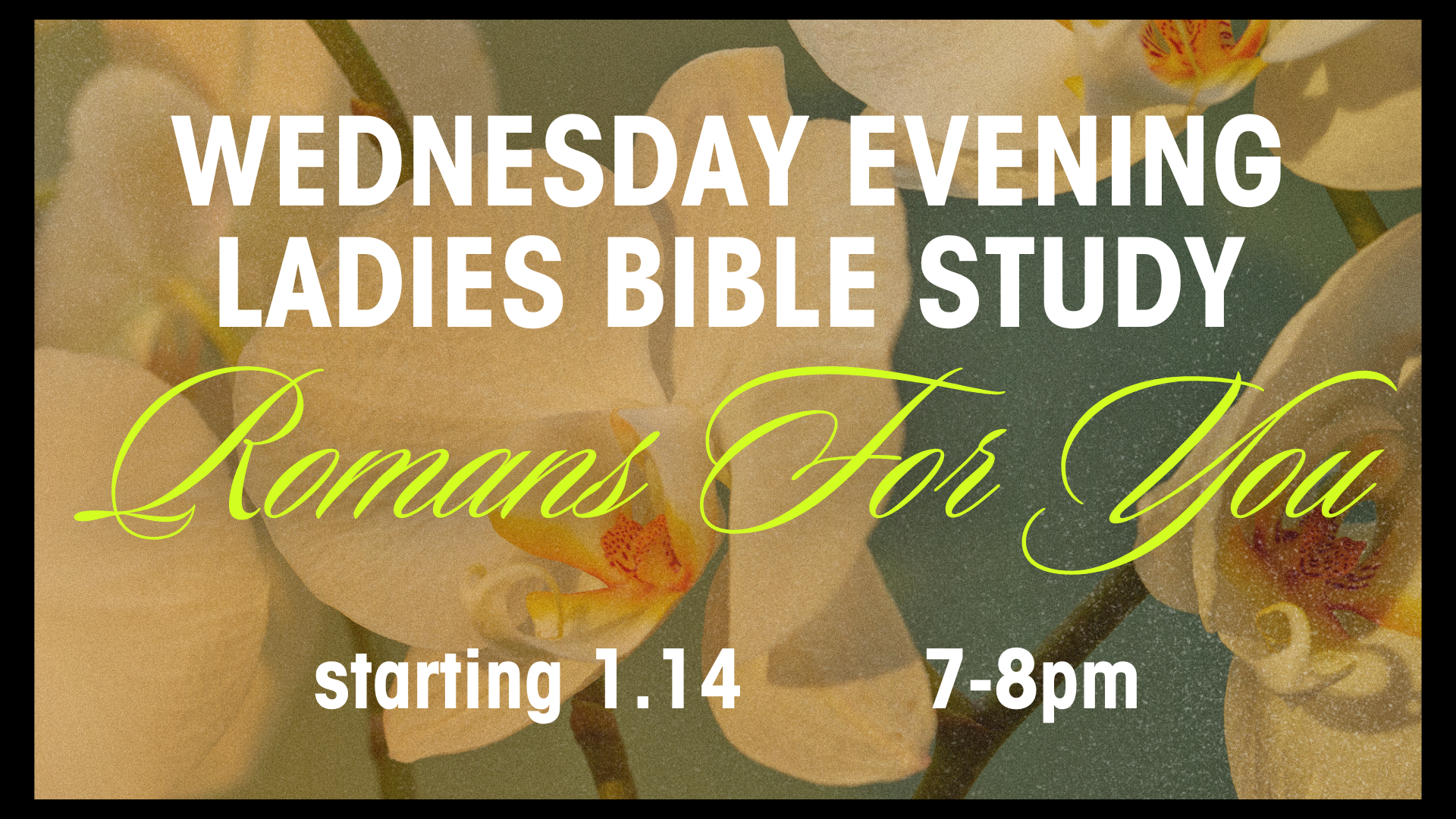 wednesday ladies bible study 26