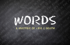 Words: A Matter Of Life & Death banner