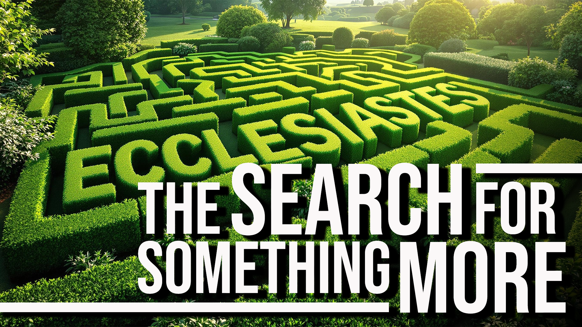 The Search for Something More