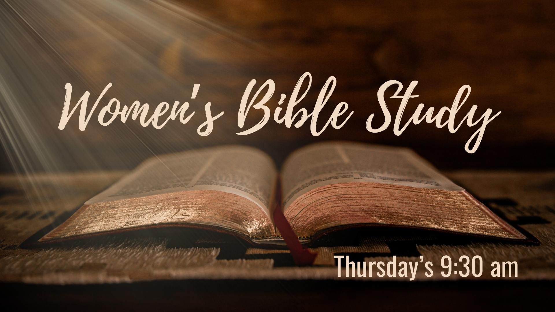 Women's Bible study image
