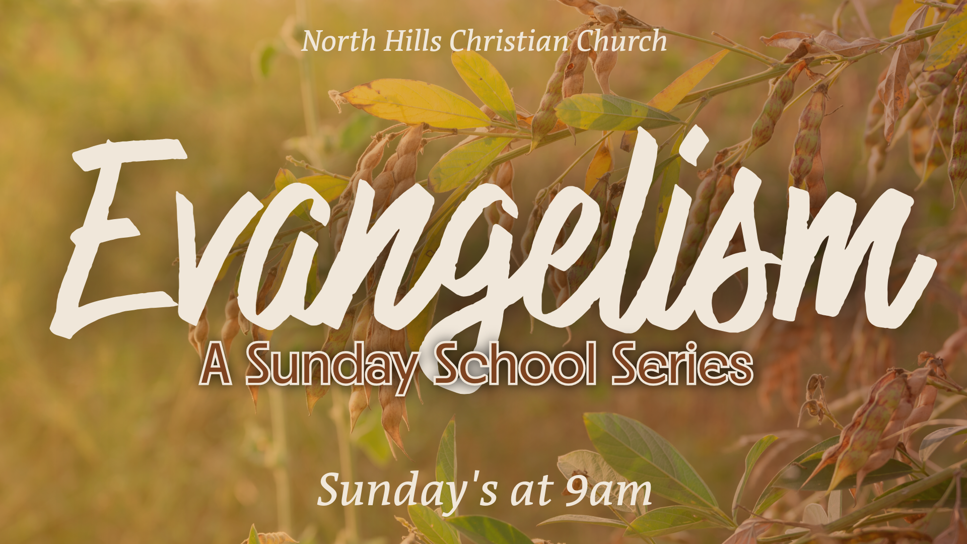 Evangelism series image