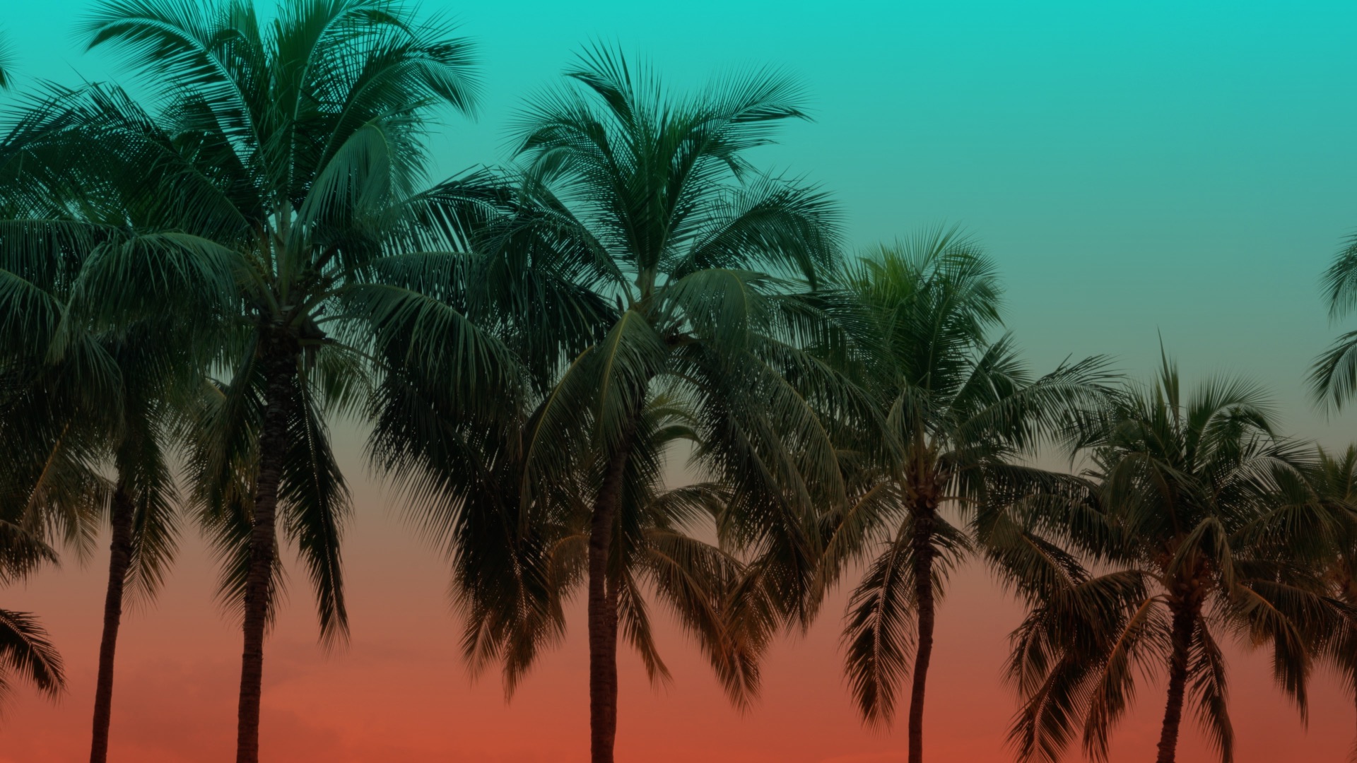 banner image