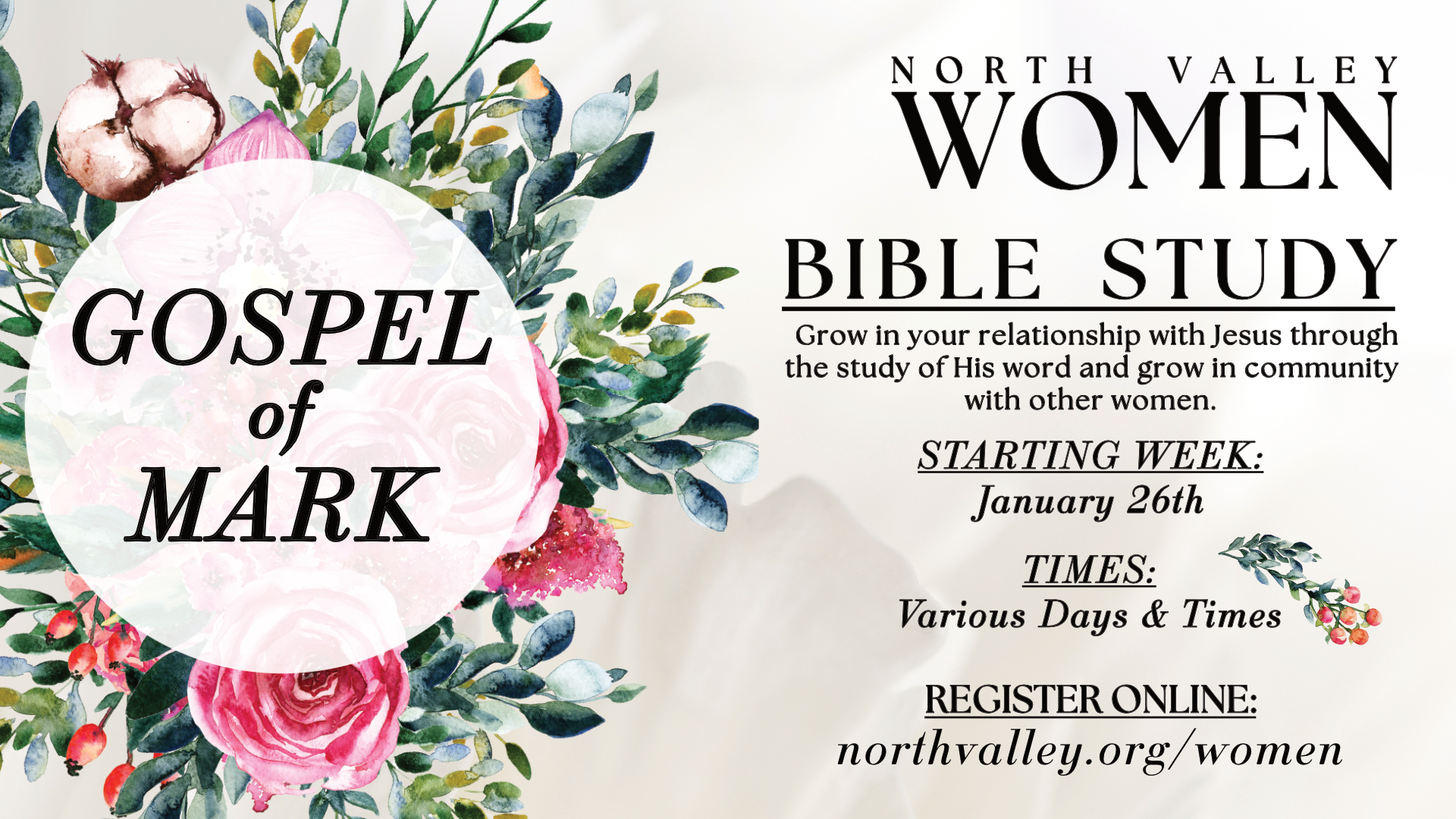 Womens Bible Study Mark Pt 2