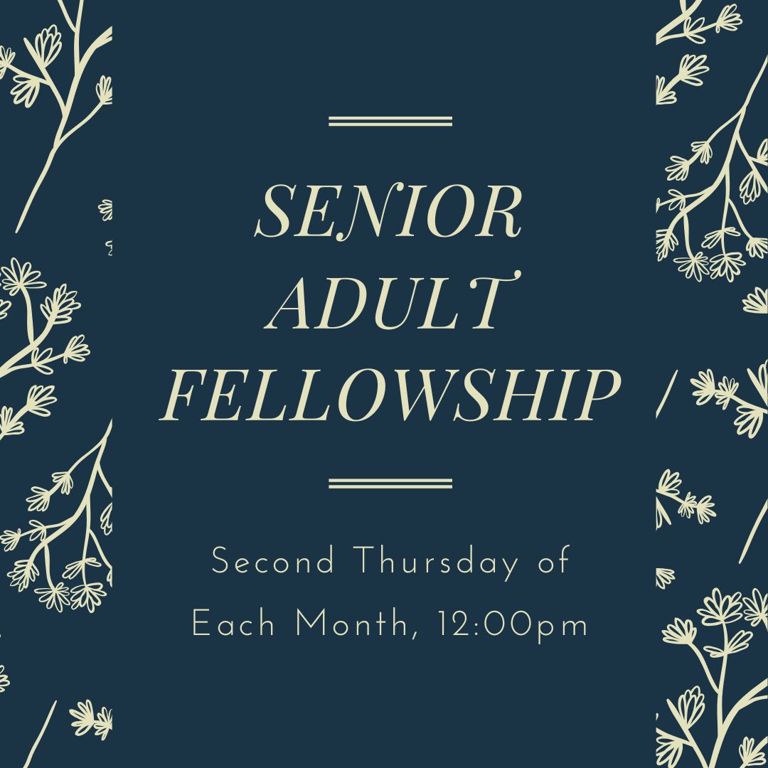 Senior Adult  (3)