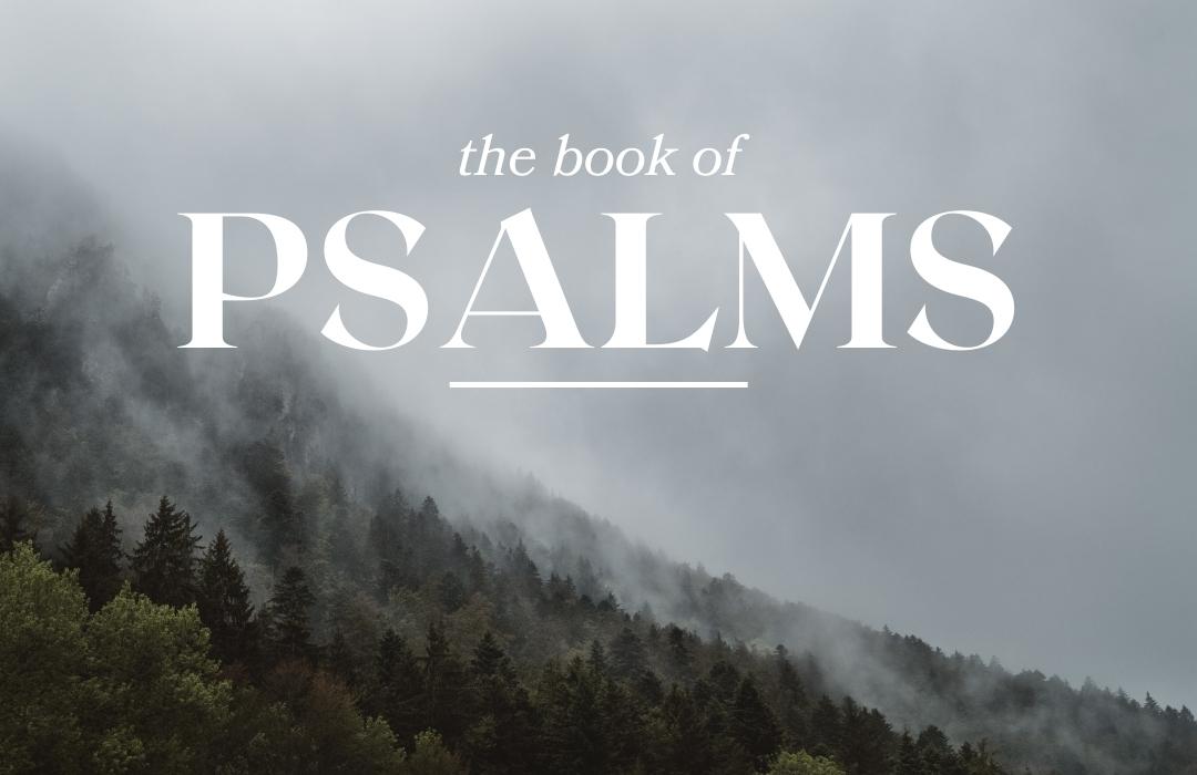 Summer in the Psalms 2023 banner