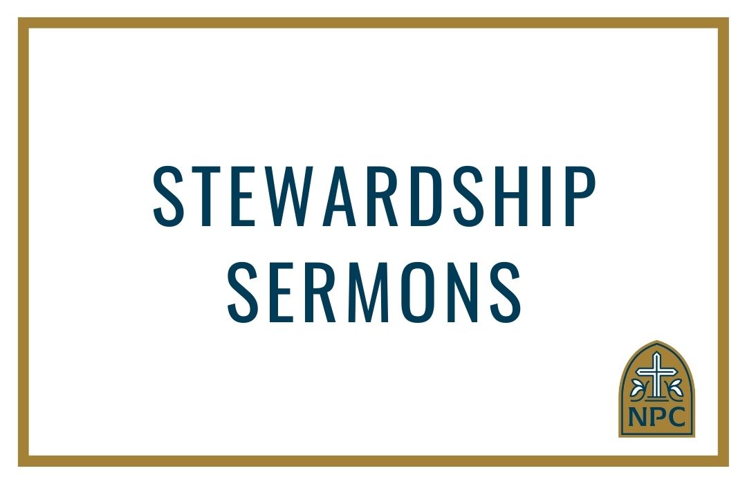 Stewardship banner