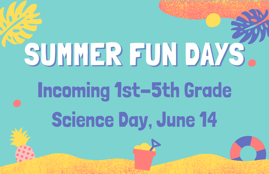 Summer Fun Days event button (1) image