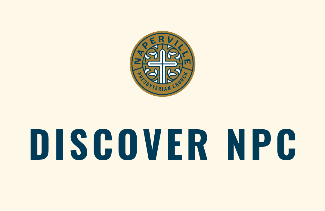 Discover - WEB
