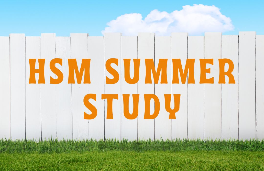 HSM Summer web (1080 x 700 px) (2)
