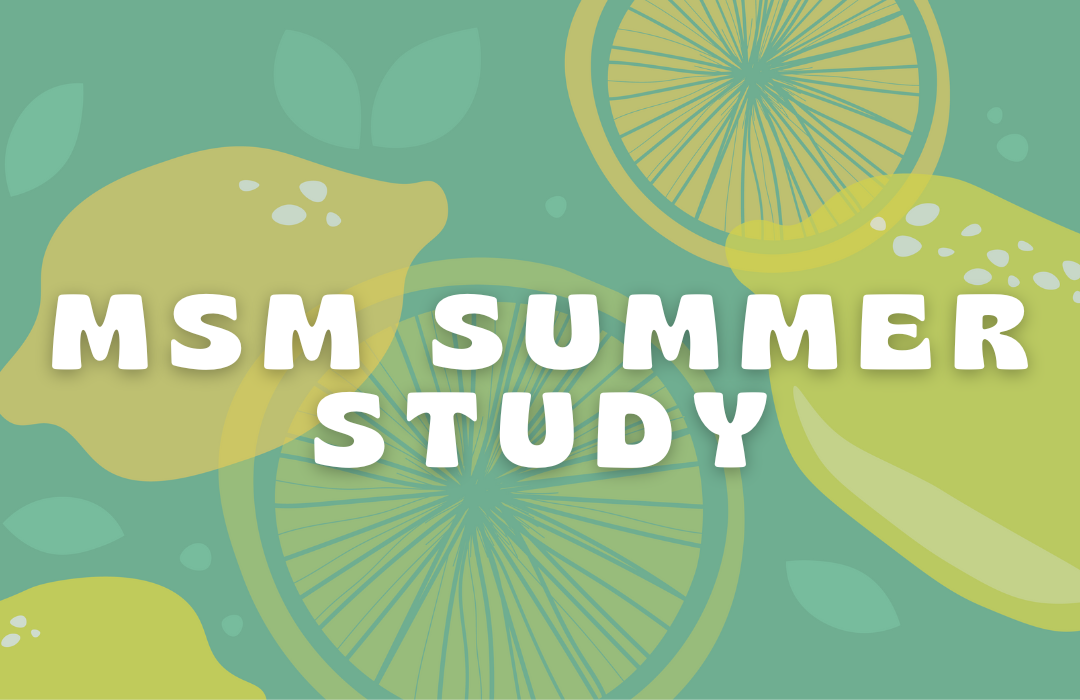 MSM Summer Study WEB  (1080 x 700 px)