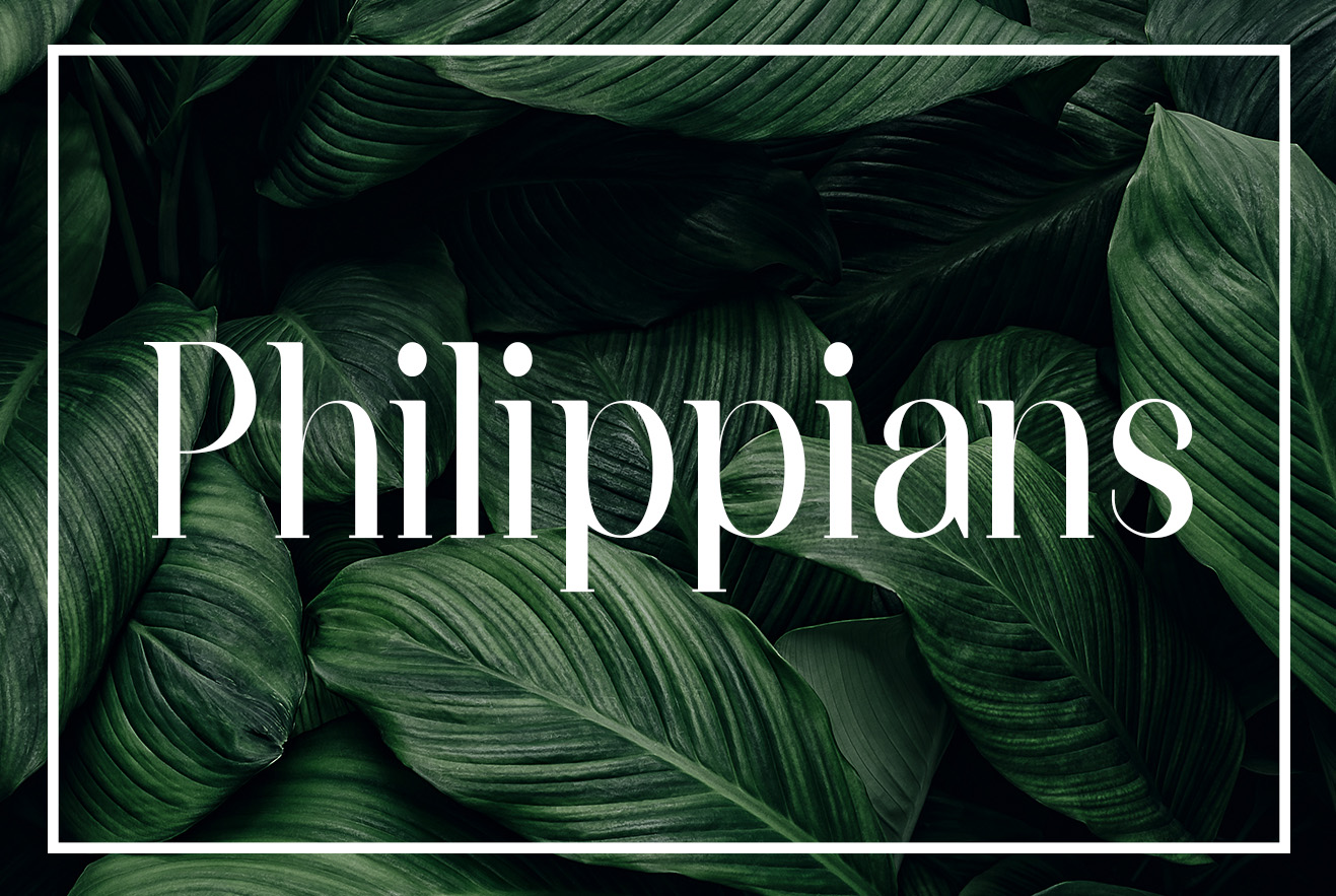 Philippians series image
