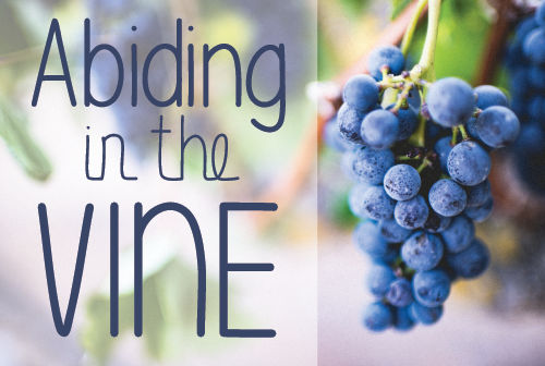 Abiding in the Vine banner