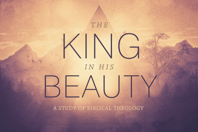 The King in His Beauty: A Biblical Theological Study banner
