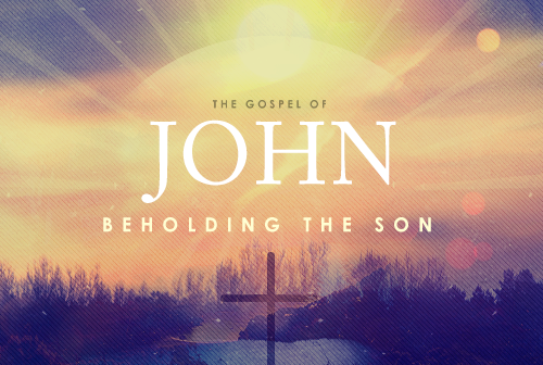 The Gospel of John: Beholding the Son banner