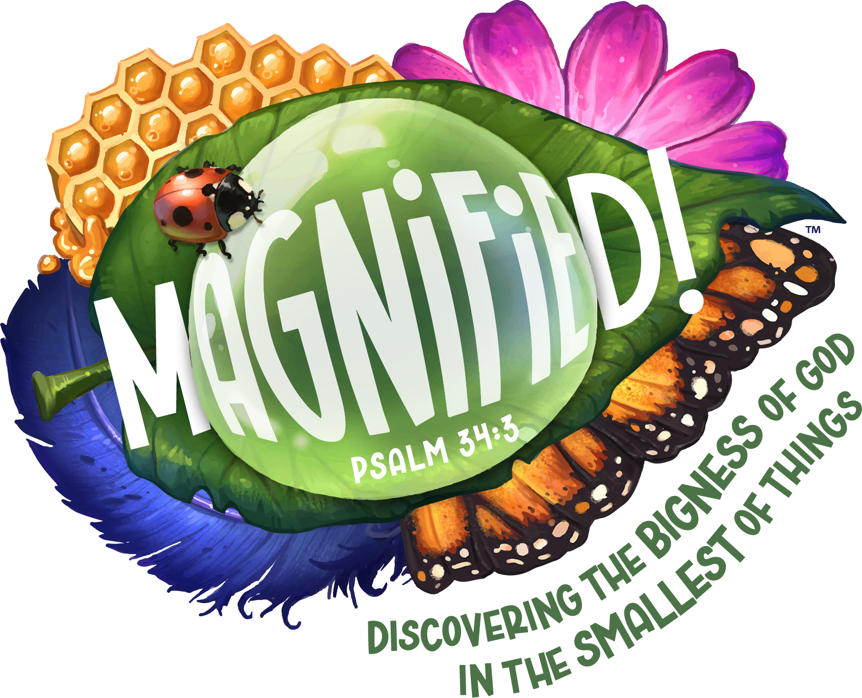 Magnified_logo_color image