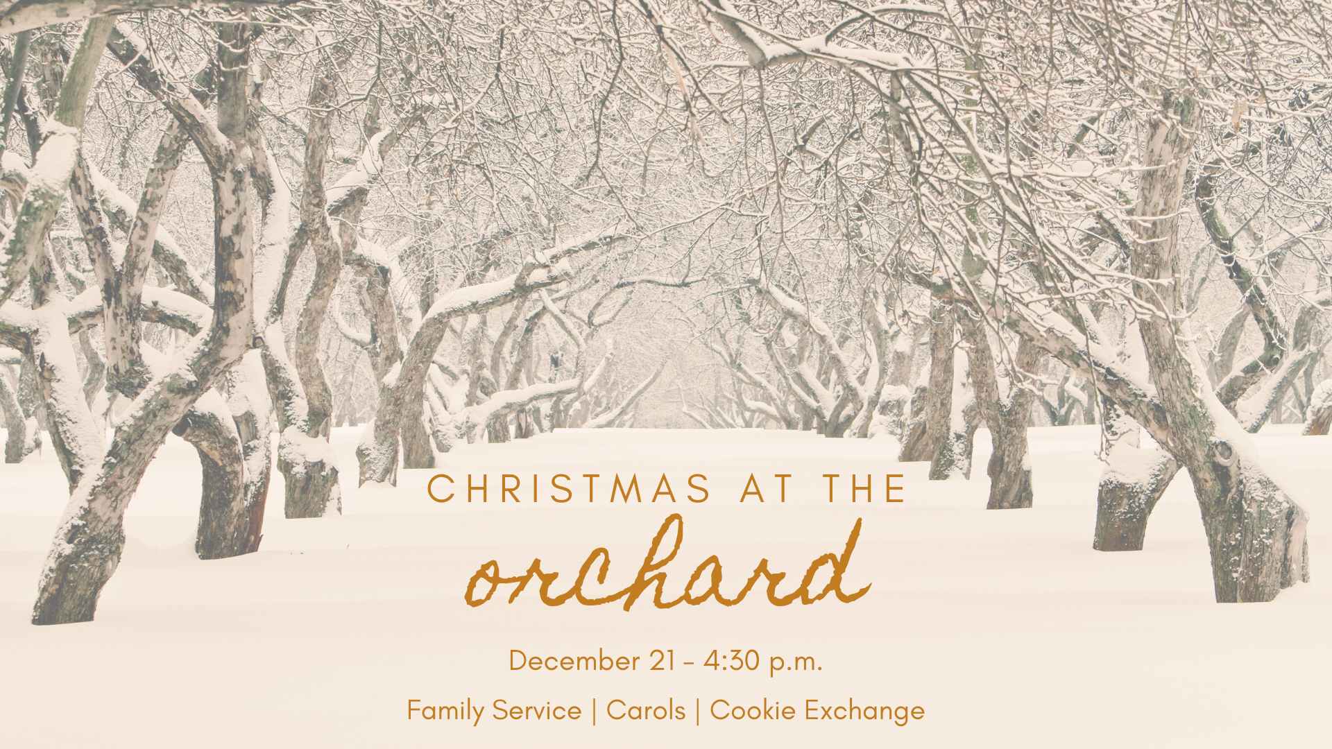 Orchard Christmas Graphic-2
