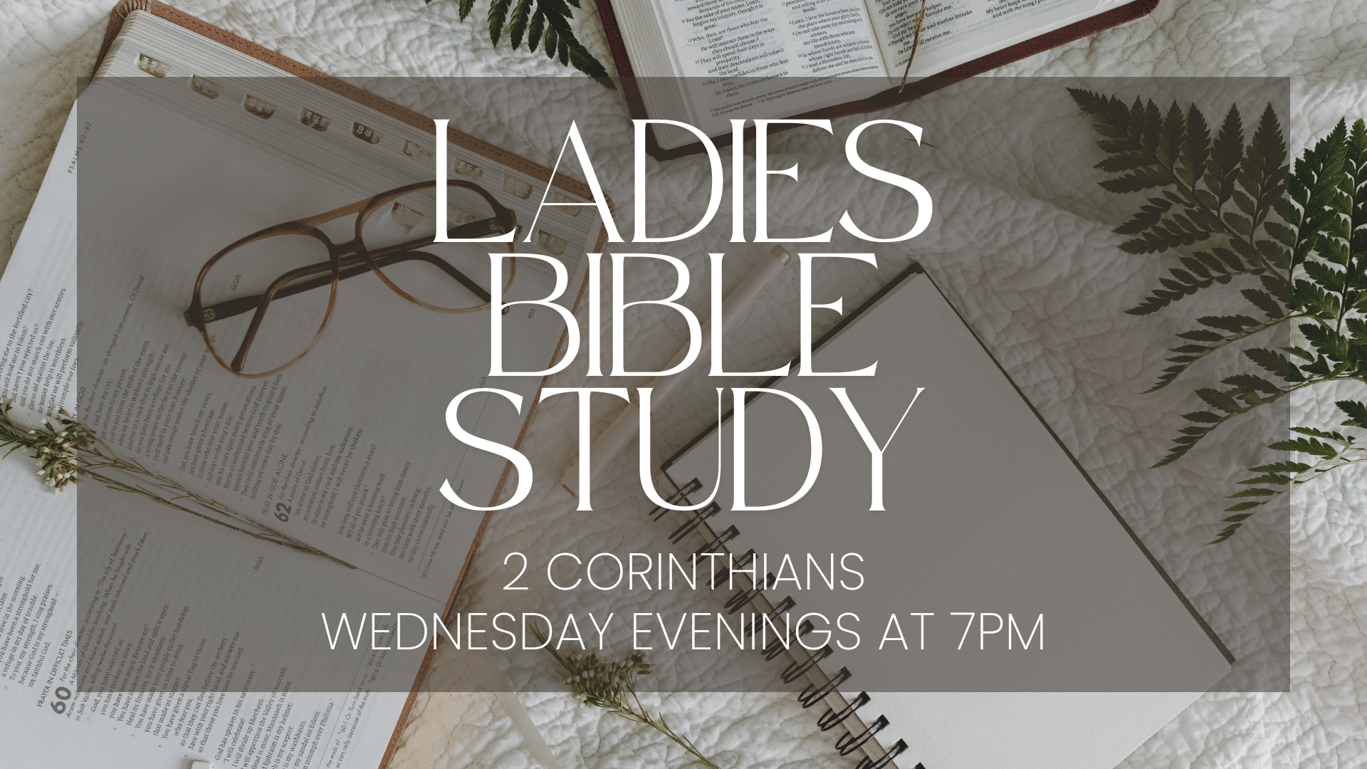 Ladies Bible Study Fall 2025