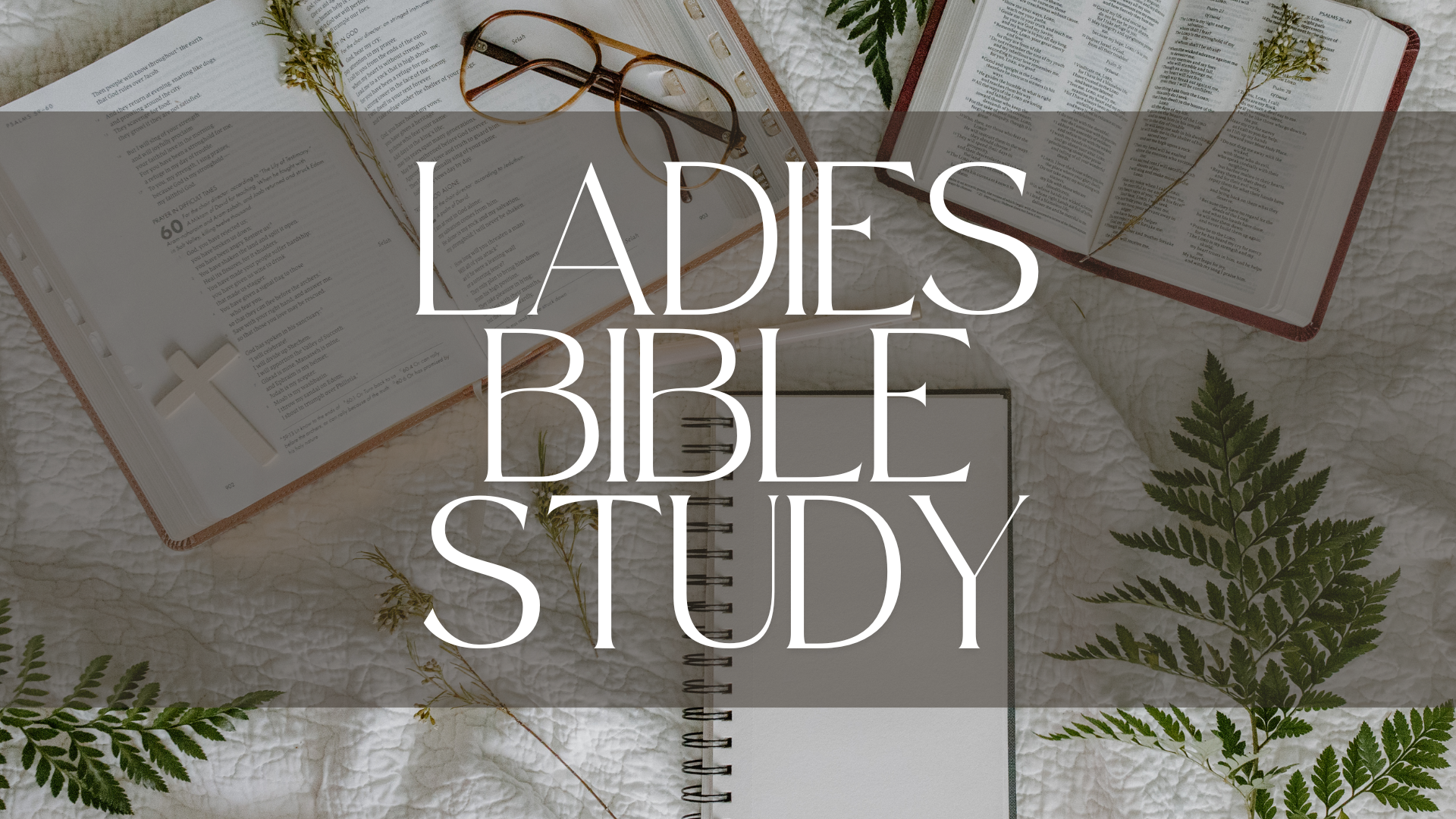 ladies bible study
