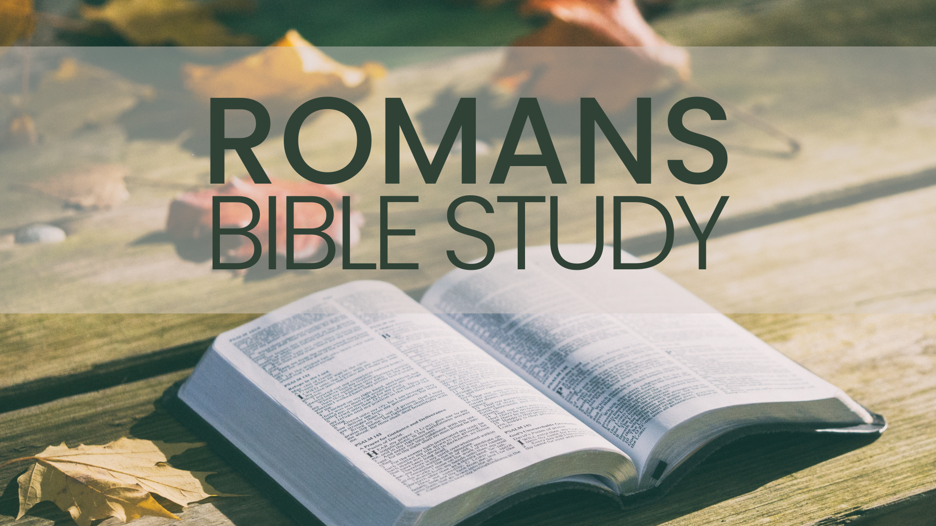 Romans - email
