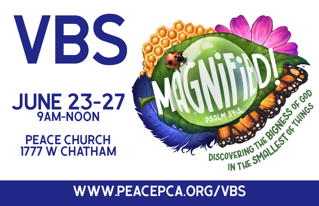 2025-06-23 VBS 1080x700 image