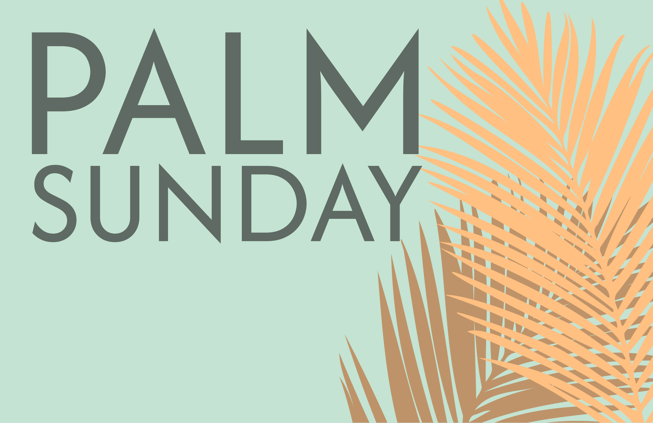 Palm Sunday 3-29-26 1080x700 image