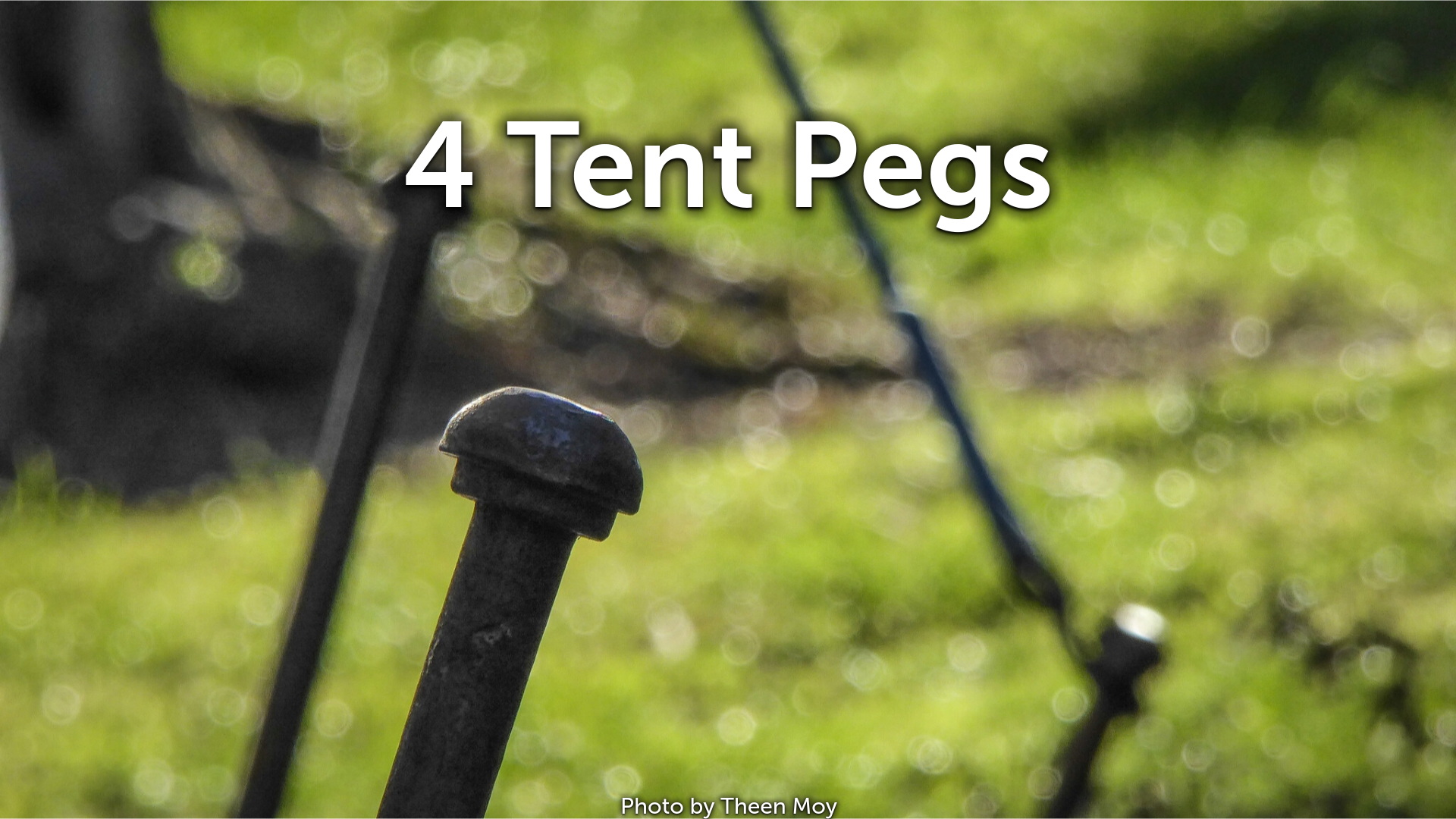 4 Tent Pegs banner