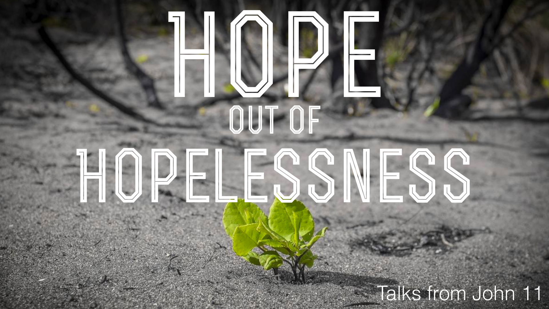 Hope out of Hopelessness banner
