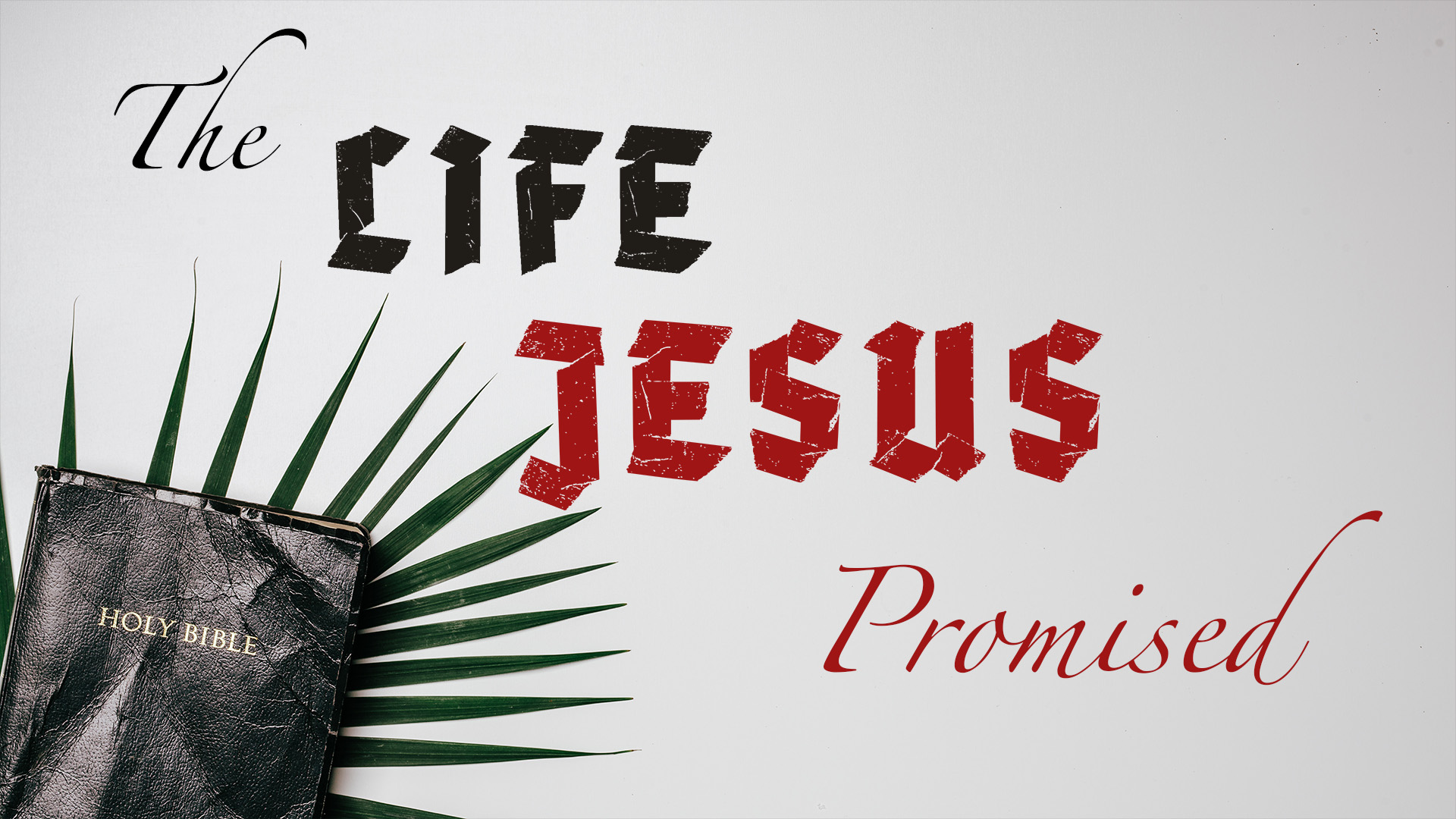 The Life Jesus Promised x1080