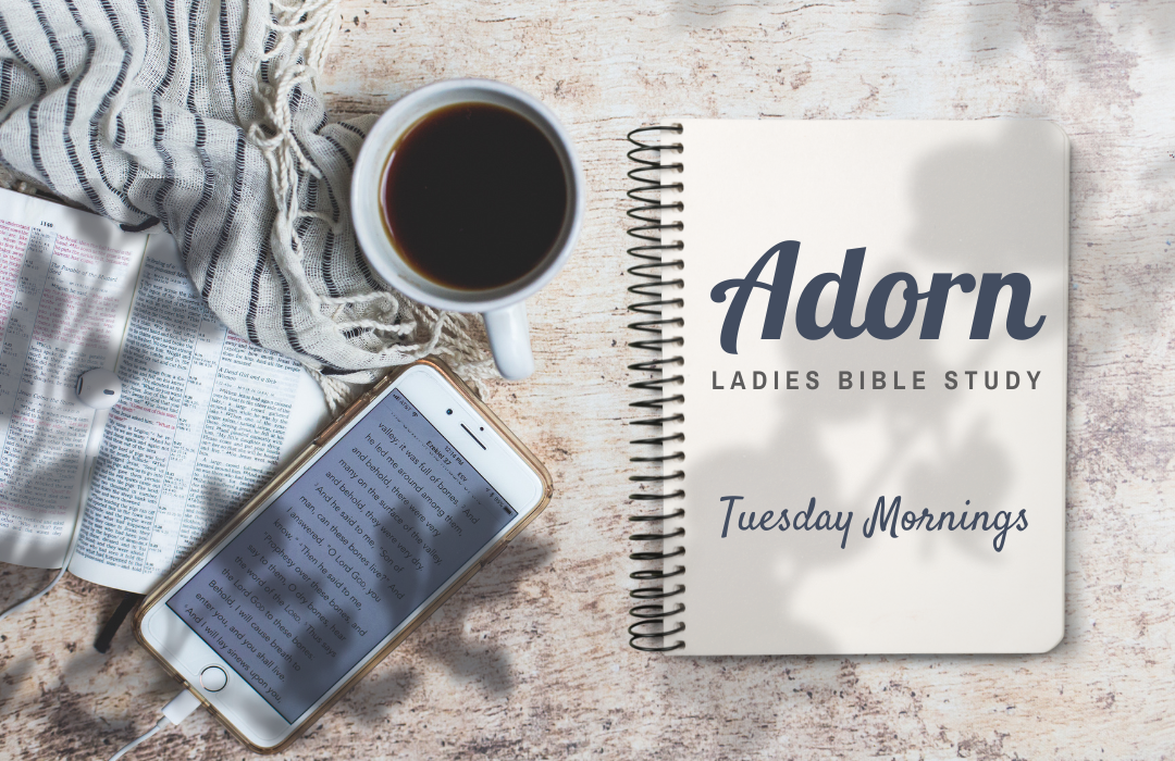 Adorn Bible Study for Website Oct. 2025 image