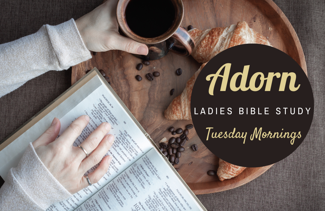 Adorn Bible Study for Website
