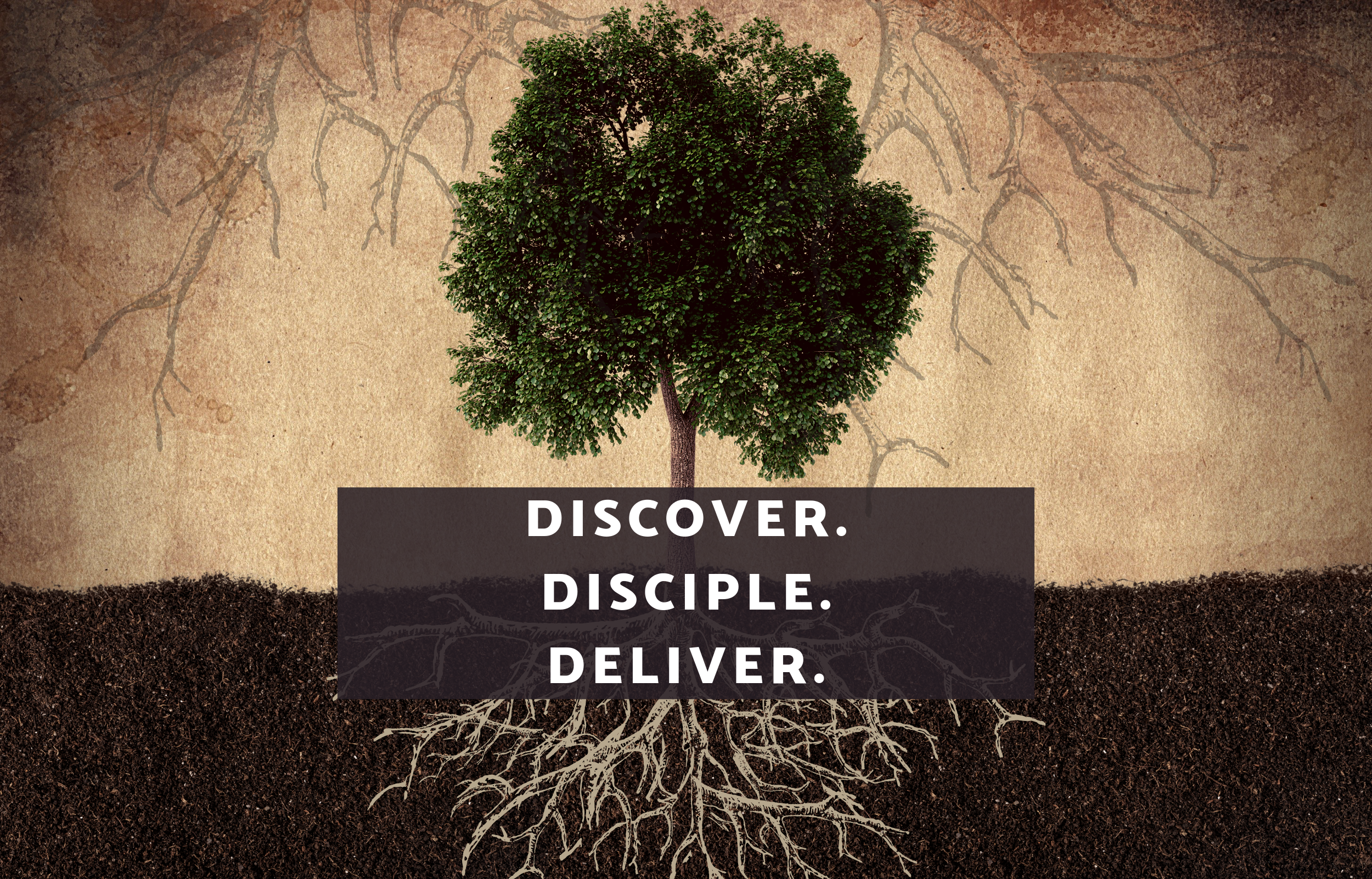 Discover, Disciple, Deliver banner