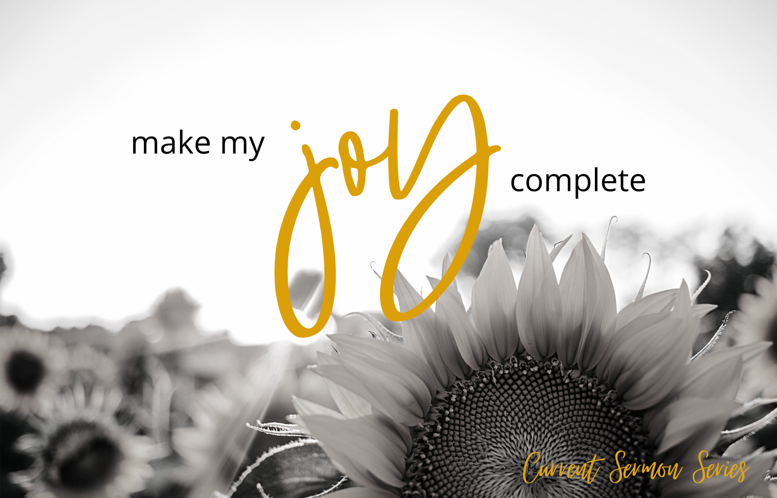 Make My Joy Complete (Book of Philippians) banner
