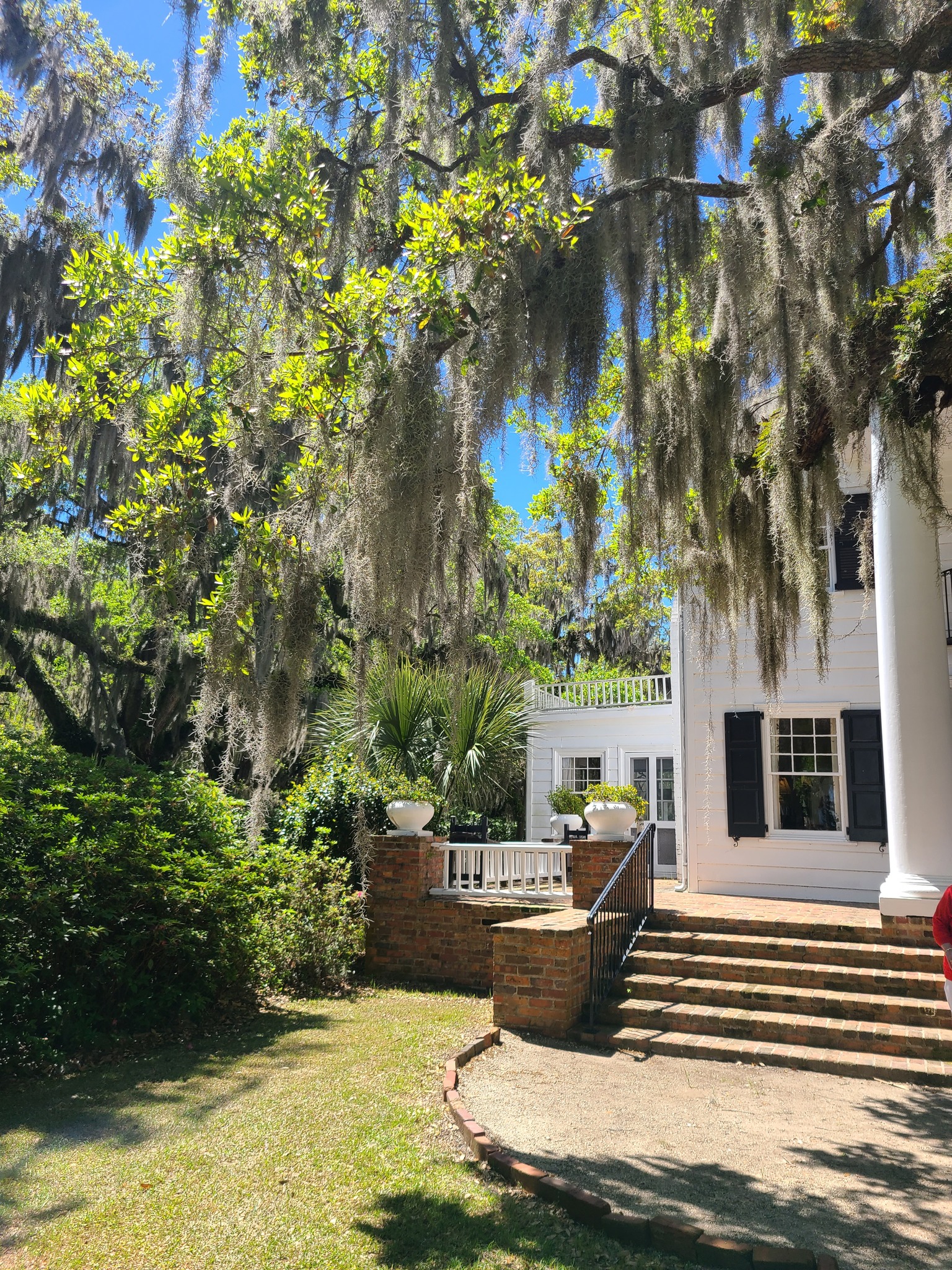 485772478_1026939036242490_5454309116243454068_n