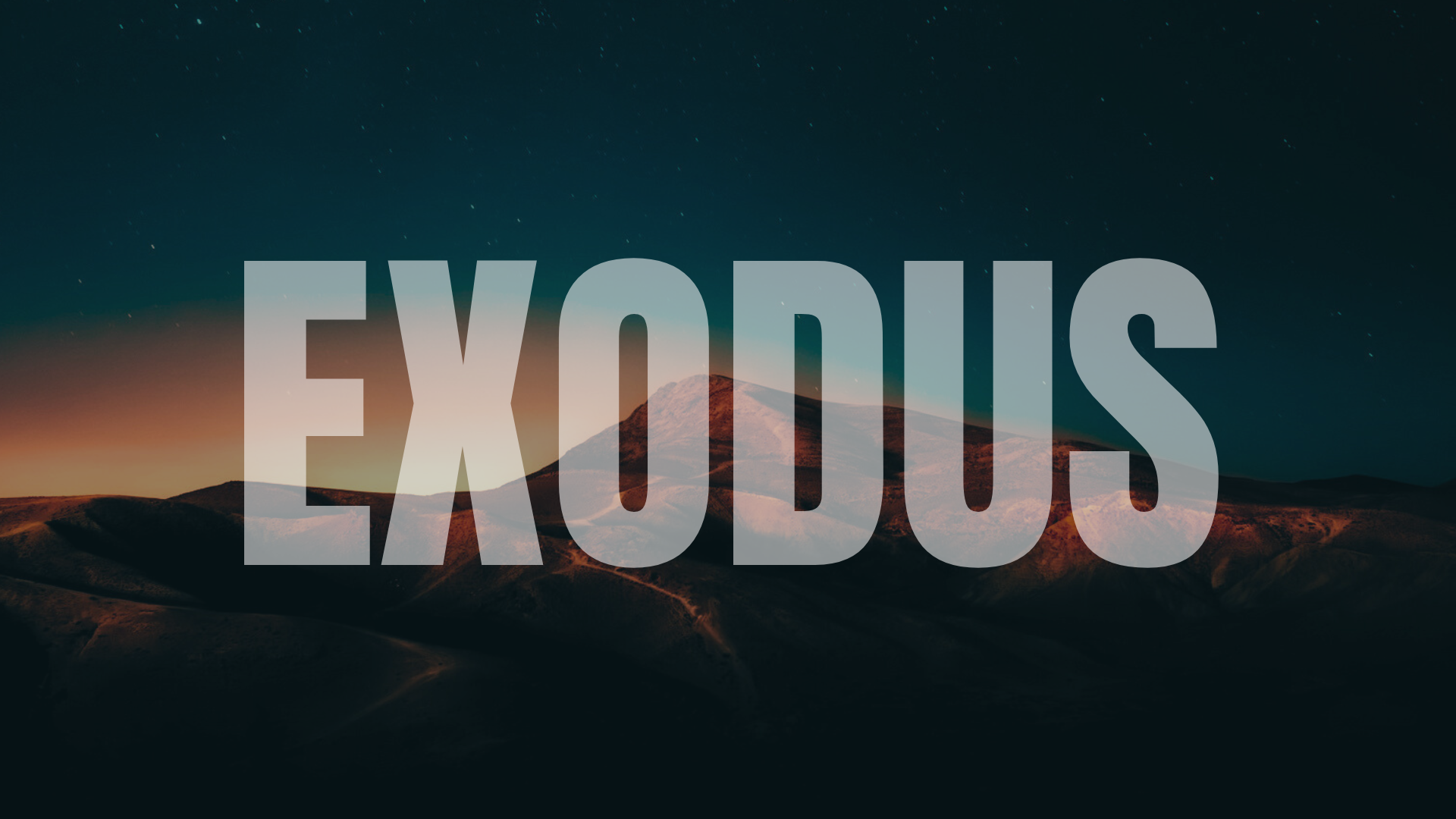 Exodus banner