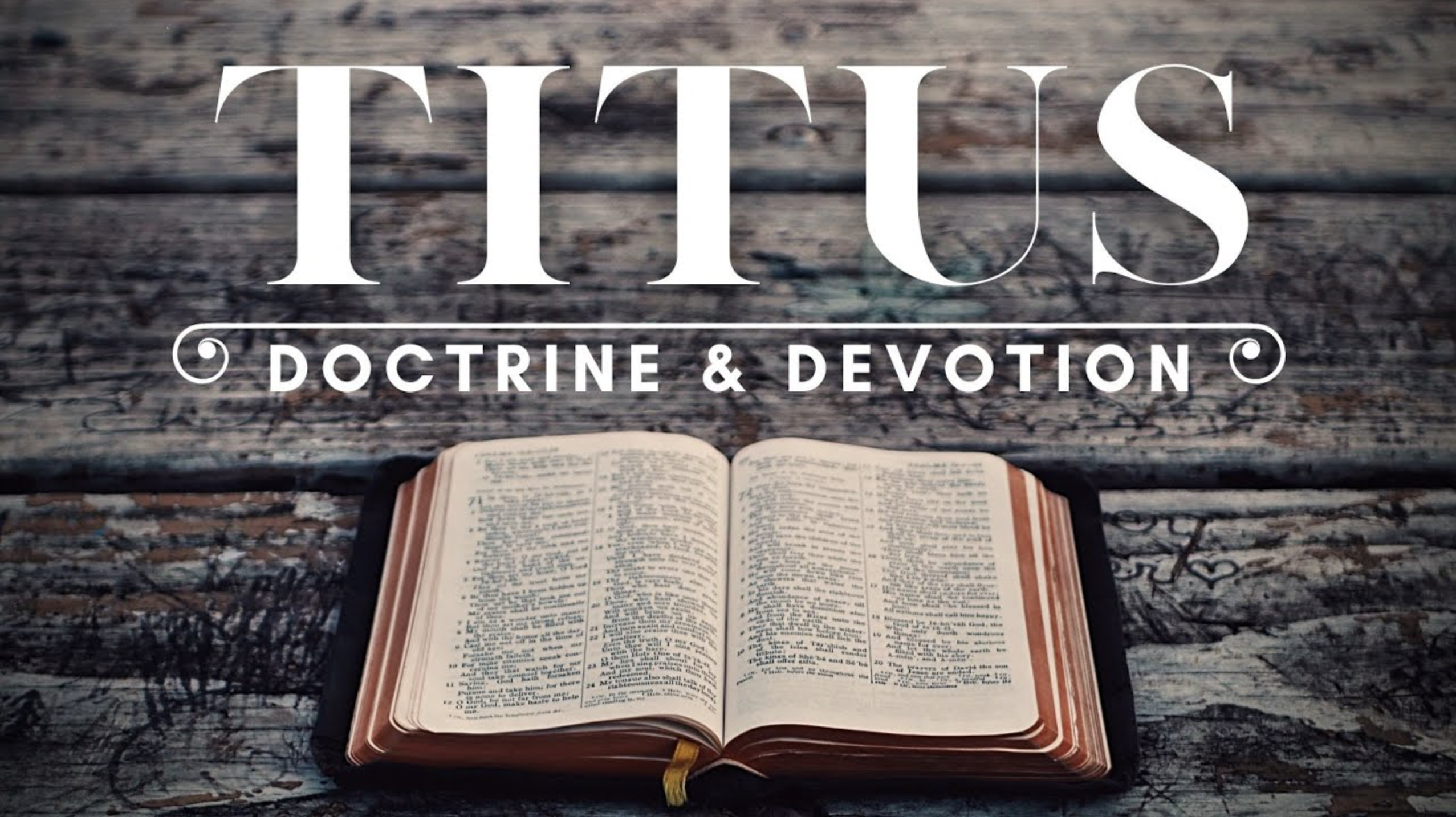 Titus: Doctrine and Devotion banner