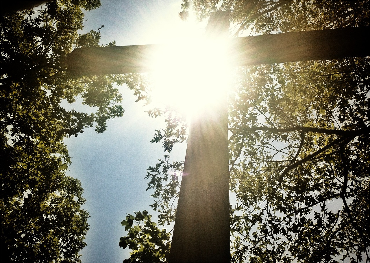 sunshine-923890_1280 image