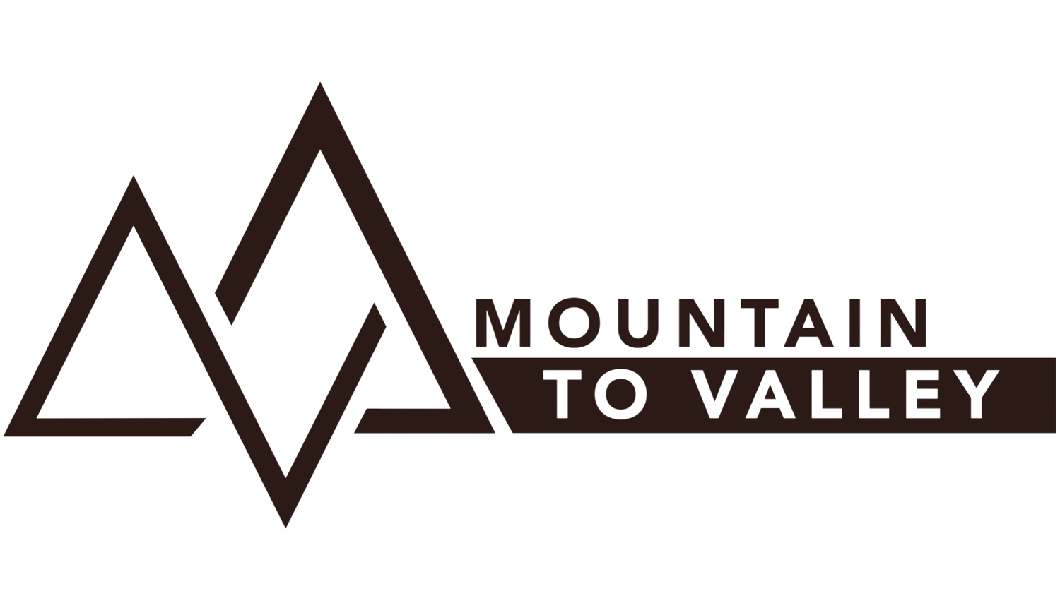 MTV Logo 2026