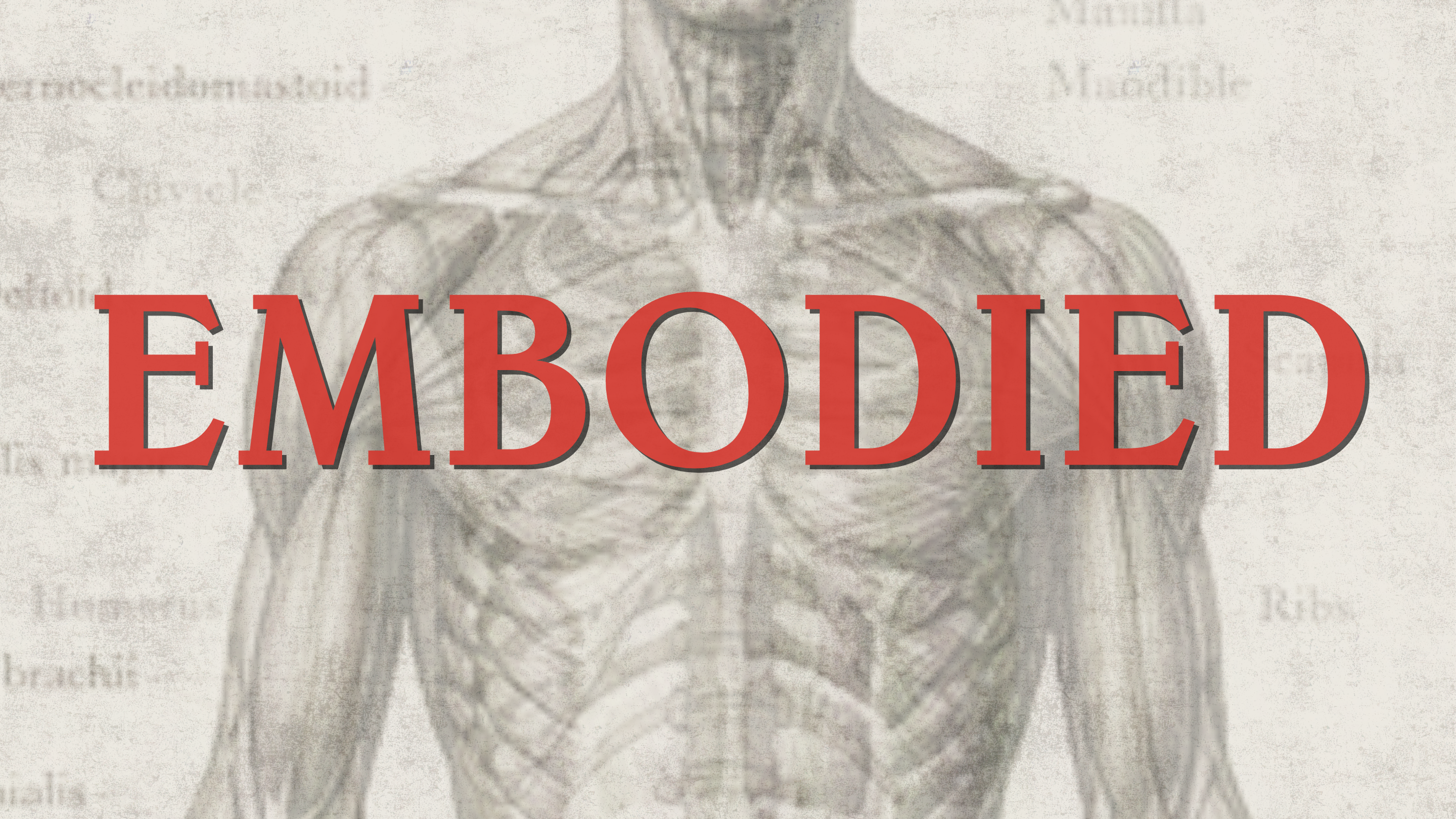 Embodied banner