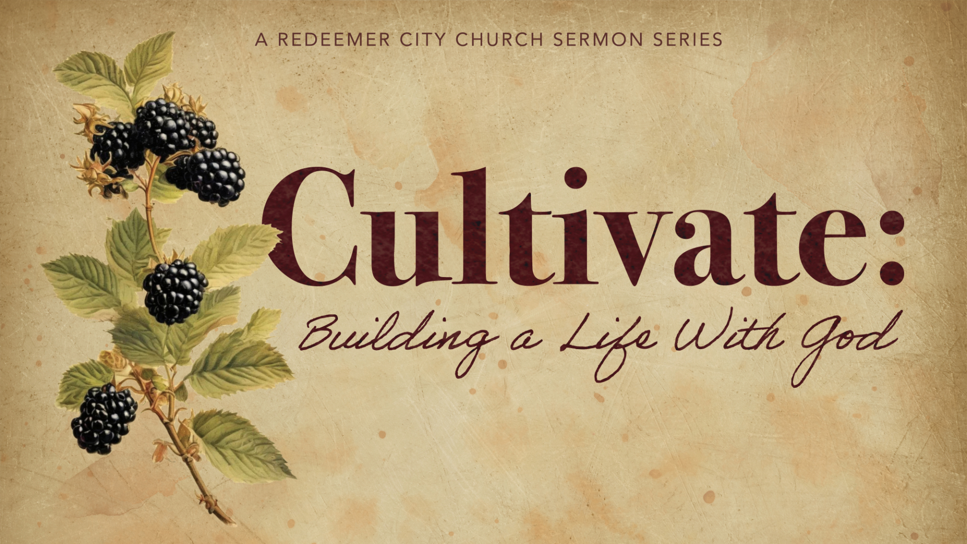 Cultivate: Building a Life with God