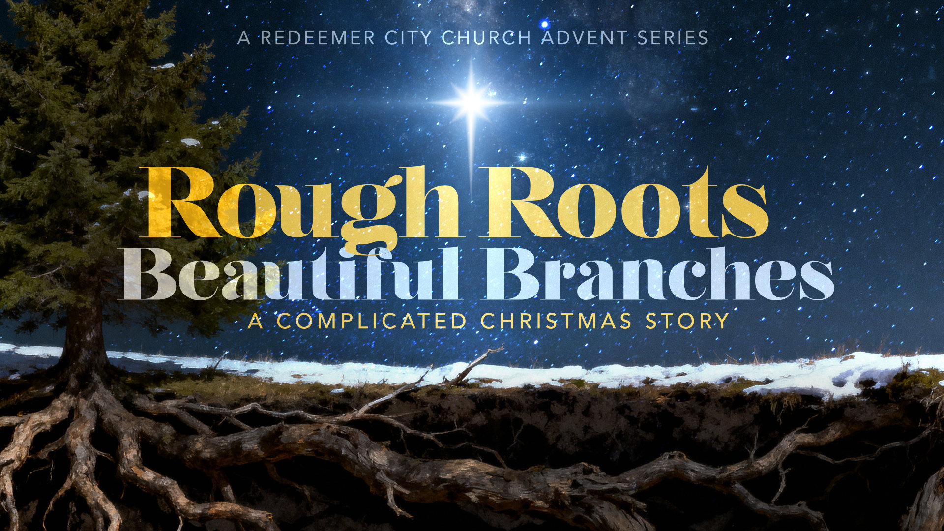 Rough Roots, Beautiful Branches series image