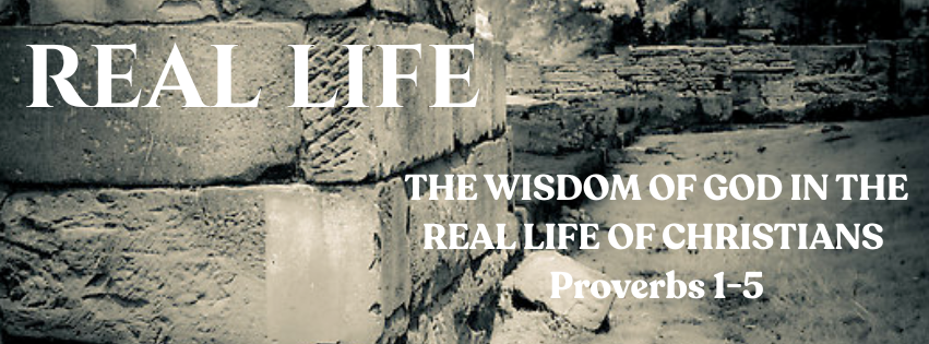 Proverbs series image