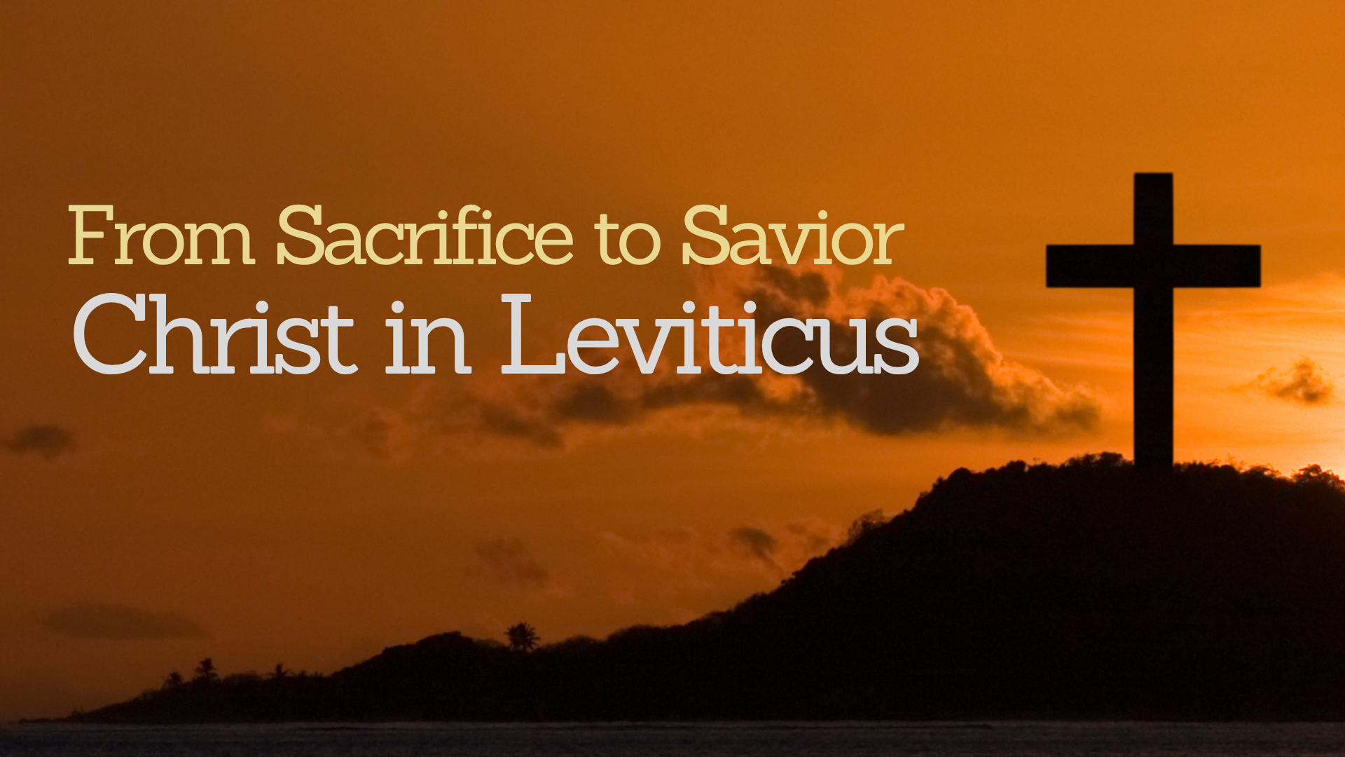 From Sacrifice to Savior: Christ in Leviticus image