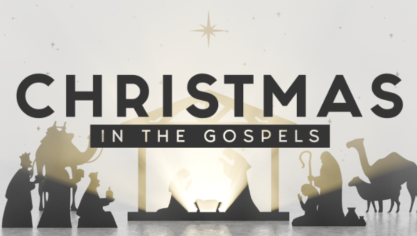 Christmas in the Gospels image