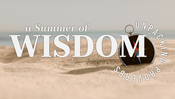 A Summer of Wisdom