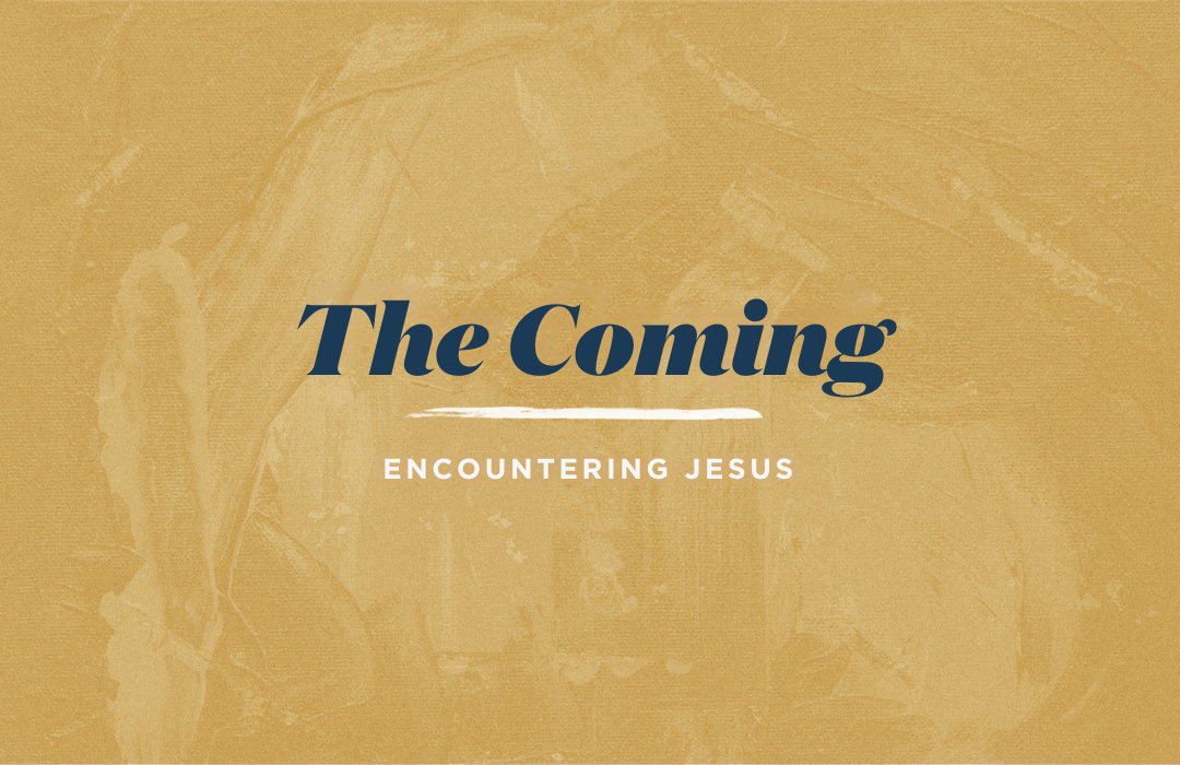 The Coming: 2025 image