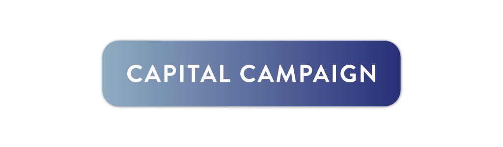 capital campaign giving button